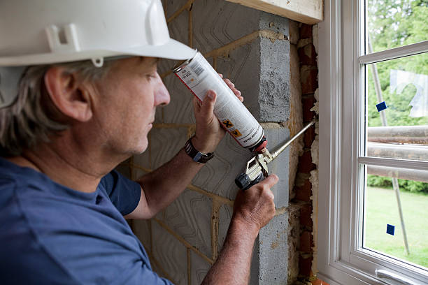 Best Insulation Maintenance and Repair in Cobb Island, MD